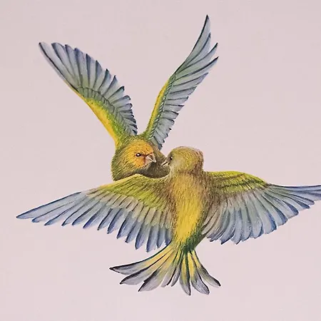 Hotellerie Het Wapen Athlone Hotel