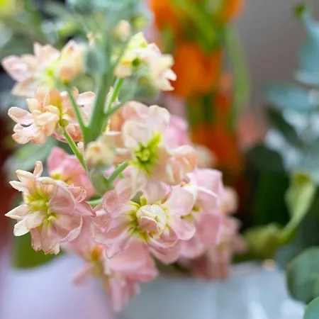 Hotellerie Het Wapen Athlone De Steeg