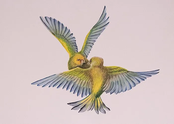 Hotellerie Het Wapen Athlone Отель