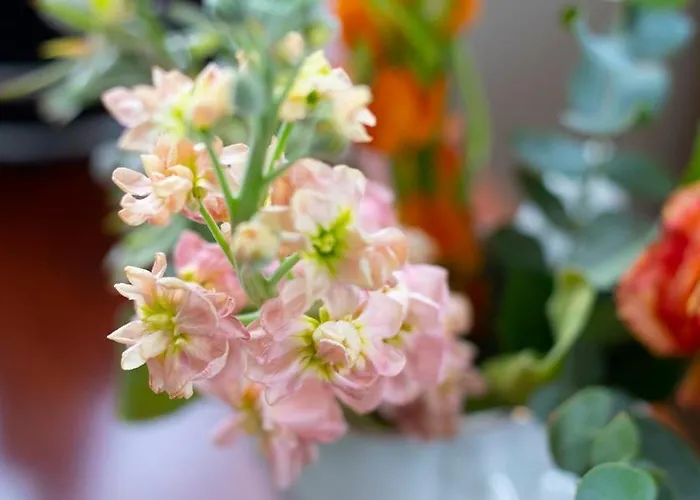 Hotellerie Het Wapen Athlone De Steeg